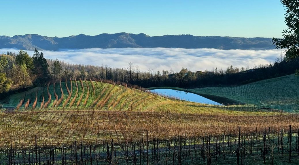 Pride Mountain Vineyards
