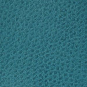 Blue Curacao